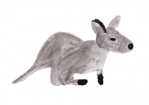 Wallaby